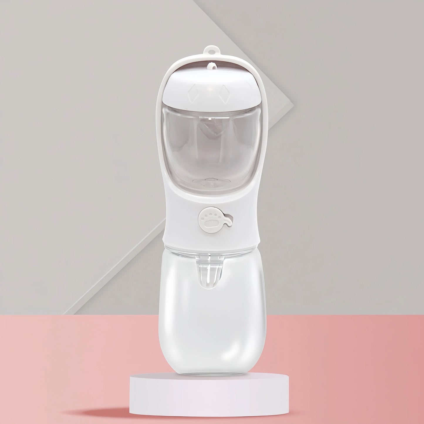 Bouteille d'eau portable pour chien