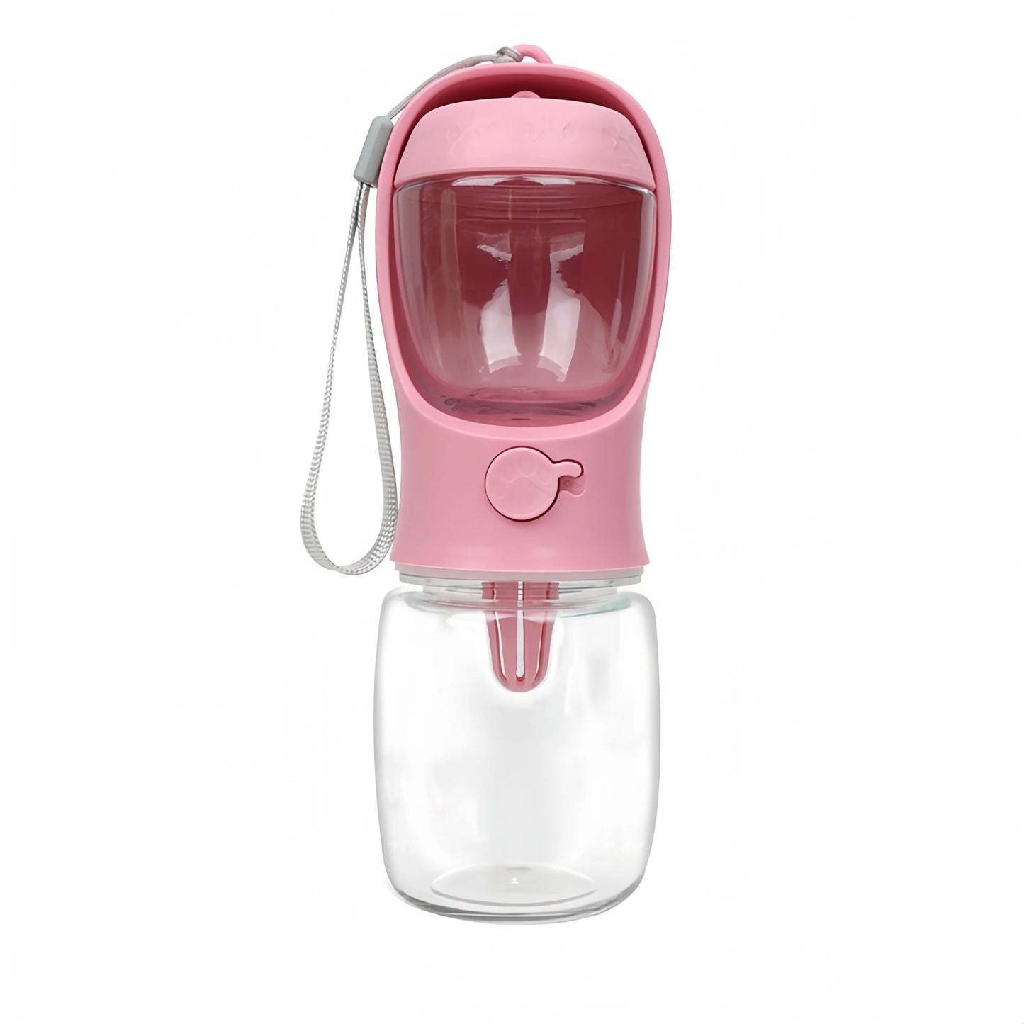 Bouteille d'eau portable pour chien