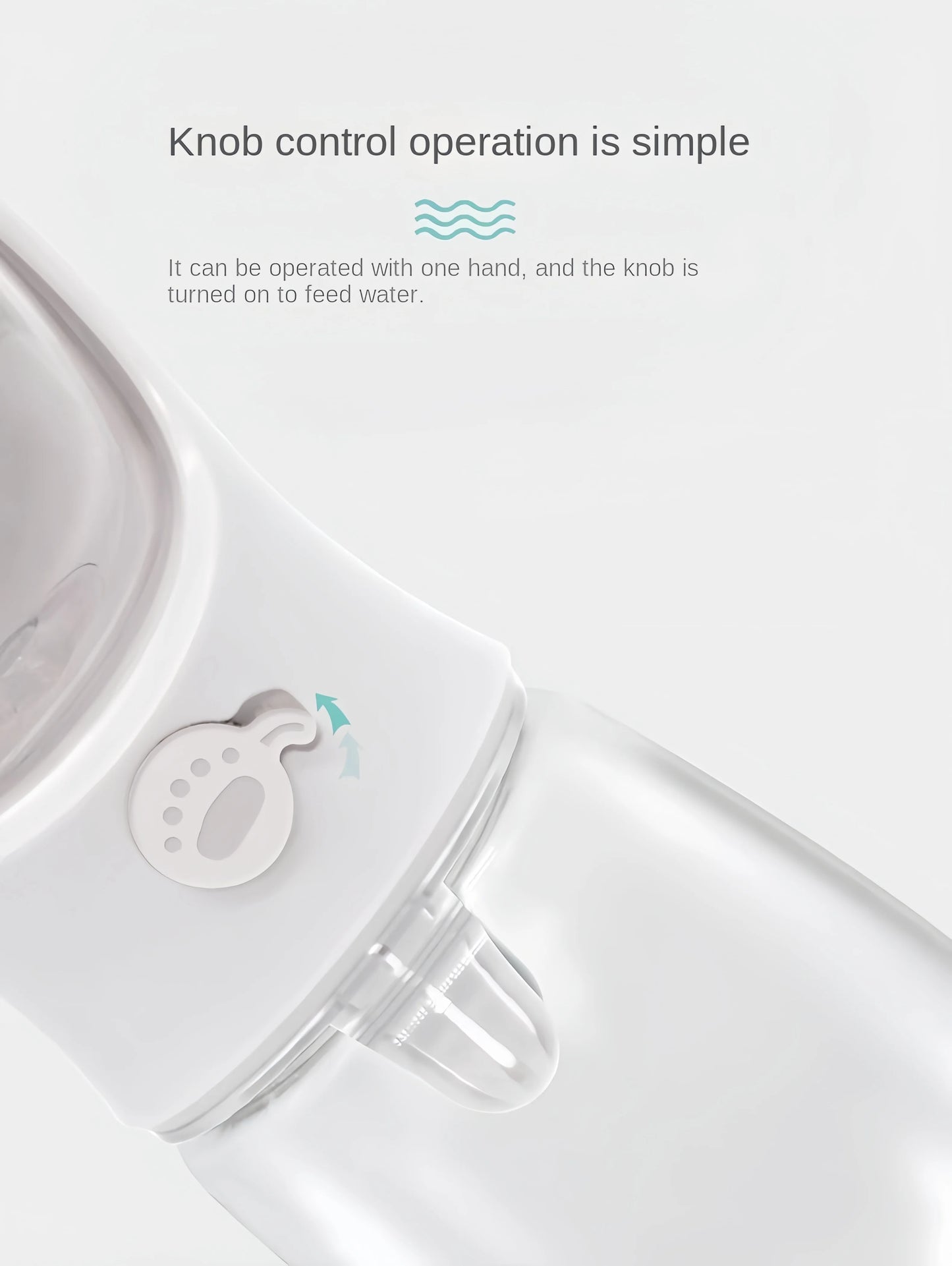 Bouteille d'eau portable pour chien